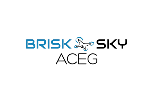 Logo brisk sky aceg